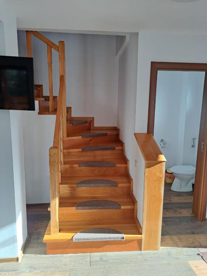 Enduro Transalpina Apartment Obarsia-Lotrului Luaran gambar