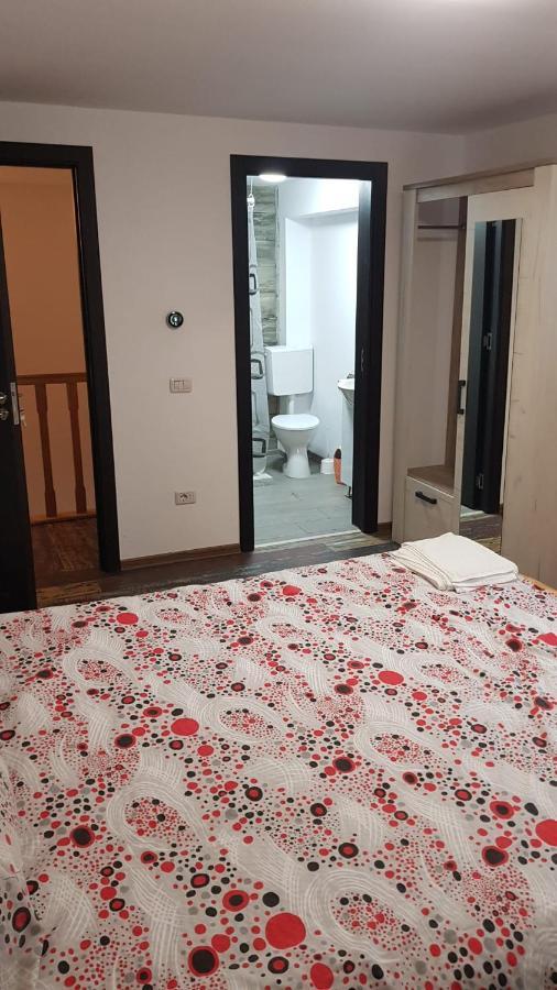 Enduro Transalpina Apartment Obarsia-Lotrului Luaran gambar